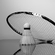SK Vöest Badminton
