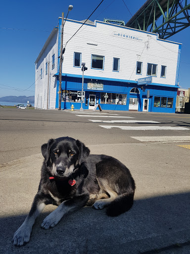 Coffee Shop «3 Cups Coffee House», reviews and photos, 279 W Marine Dr, Astoria, OR 97103, USA