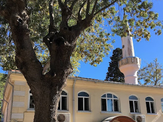 Midilli Ali Reis Camii