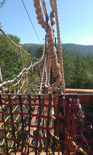 Tourist Attraction «ZiplineX Zip Line Tours», reviews and photos, 32016 NE Healy Rd, Amboy, WA 98601, USA