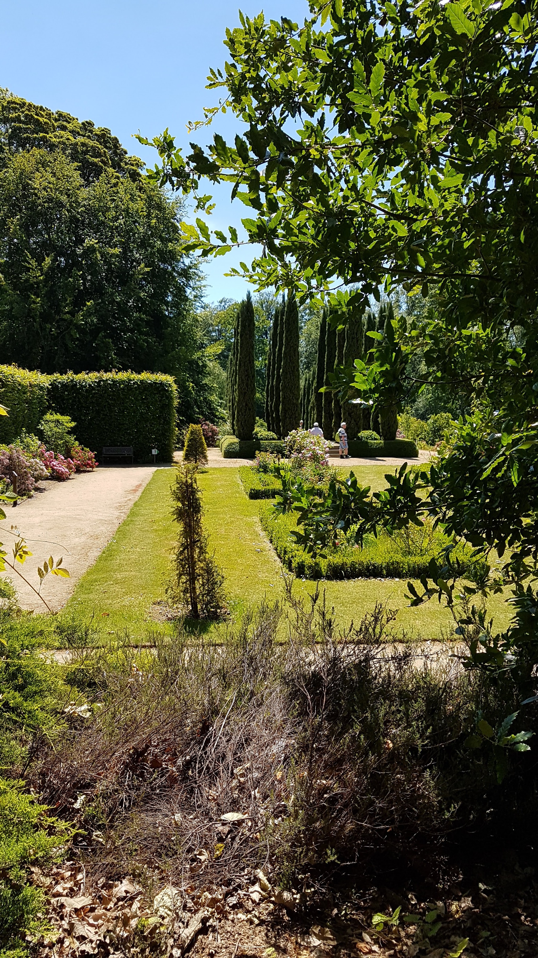 Photo n° 21 de l'avis de Daniel.r fait le 29/05/2020 à 14:41