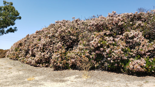 Park «Serrano Creek Park», reviews and photos, 25101 Serrano Rd, Lake Forest, CA 92630, USA