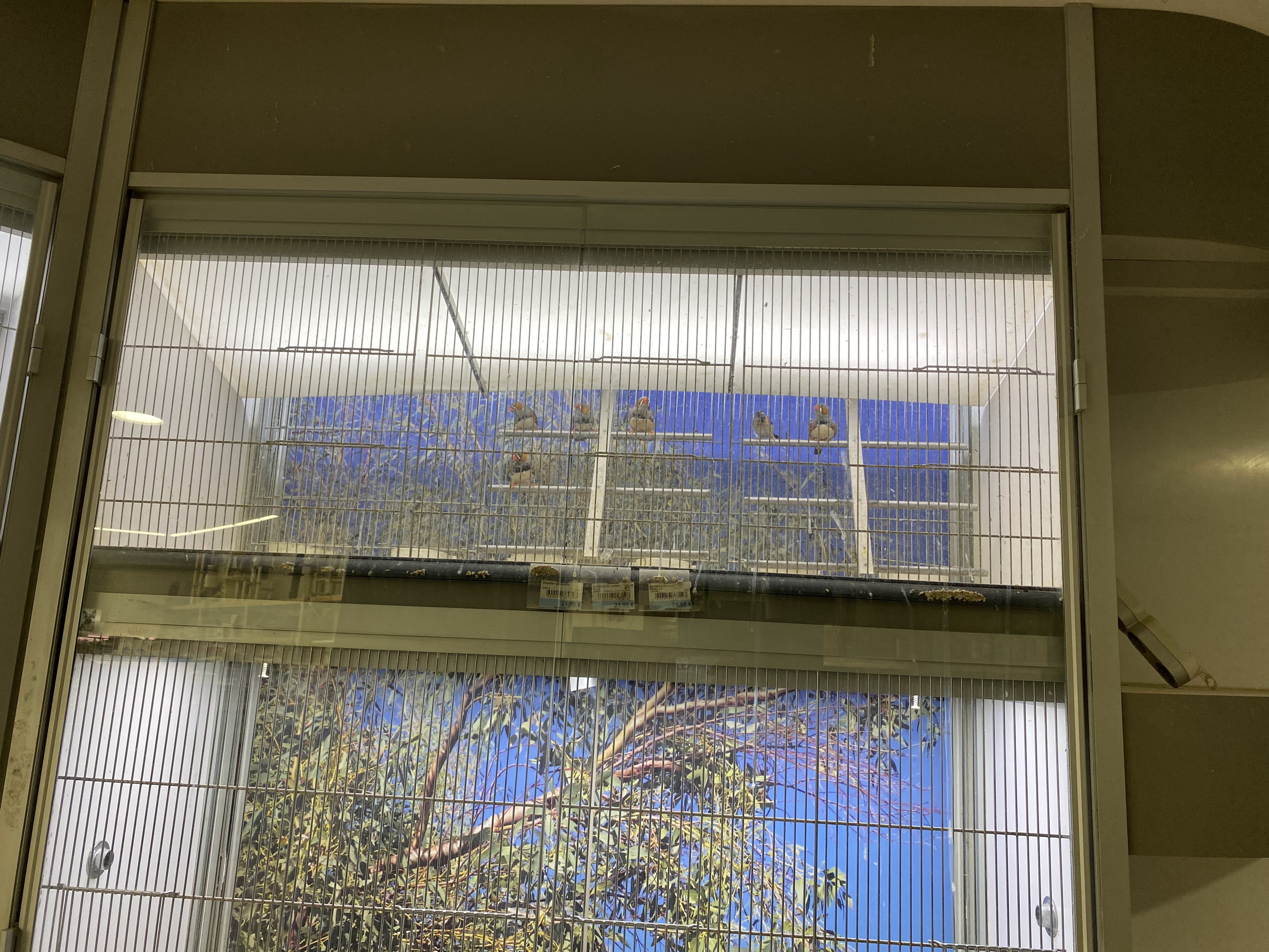 Photo n° 5 de l'avis de Médéric.o fait le 23/10/2023 à 18:25