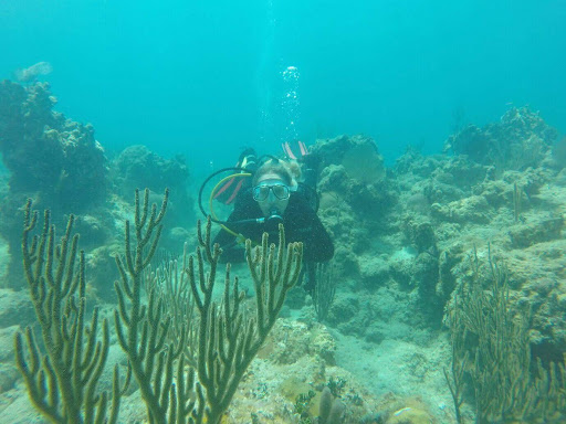 Buceo en Habana Cuba - UNDERWATERCUBA