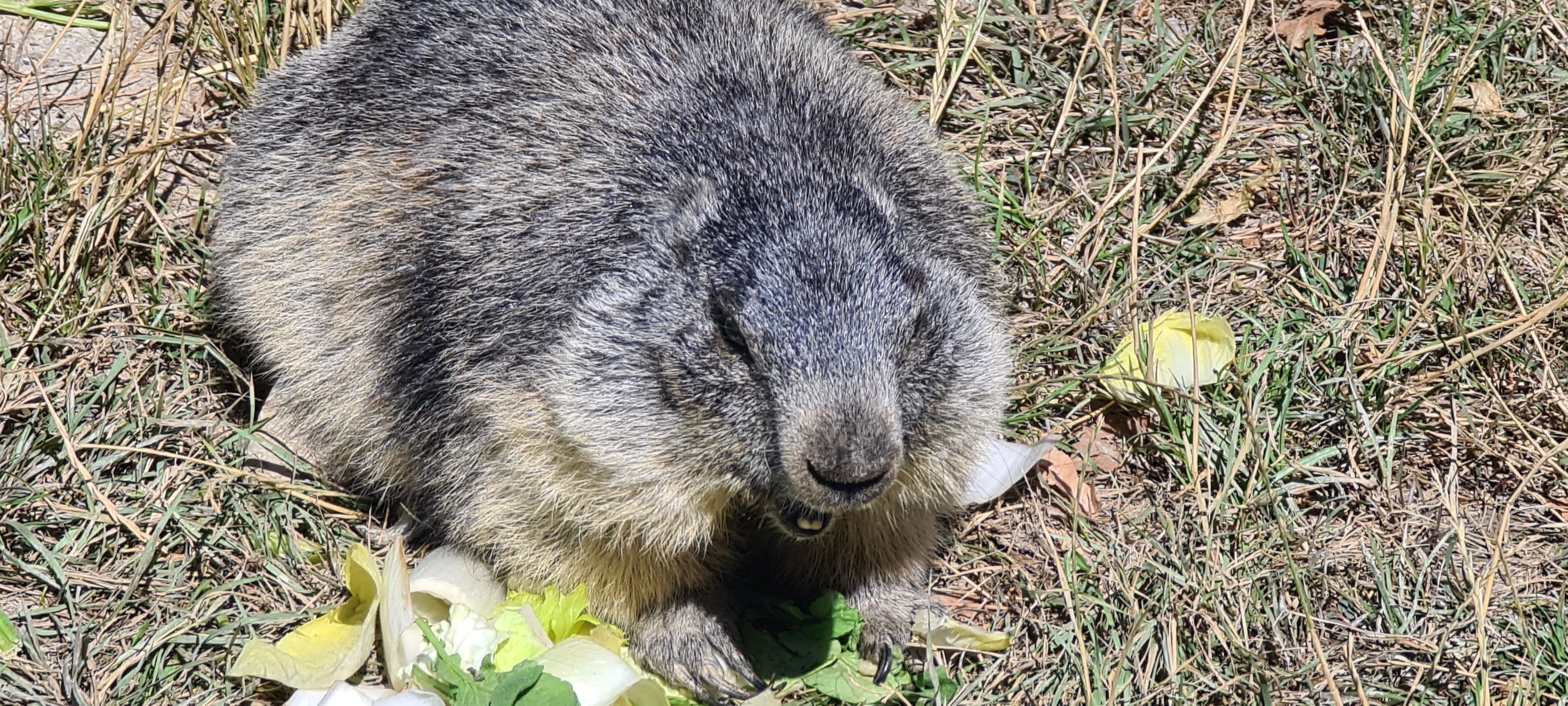 Photo n° 2 de l'avis de Sébastien.i fait le 22/08/2022 à 09:17