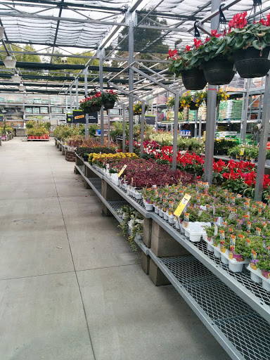 Home Improvement Store «The Home Depot», reviews and photos, 5010 Feather River Dr, Stockton, CA 95219, USA