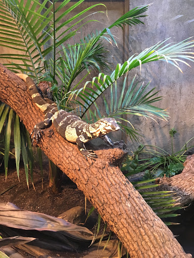 Pet Store «Lost Realms Pets», reviews and photos, 8059 N Cedar Ave, Fresno, CA 93720, USA