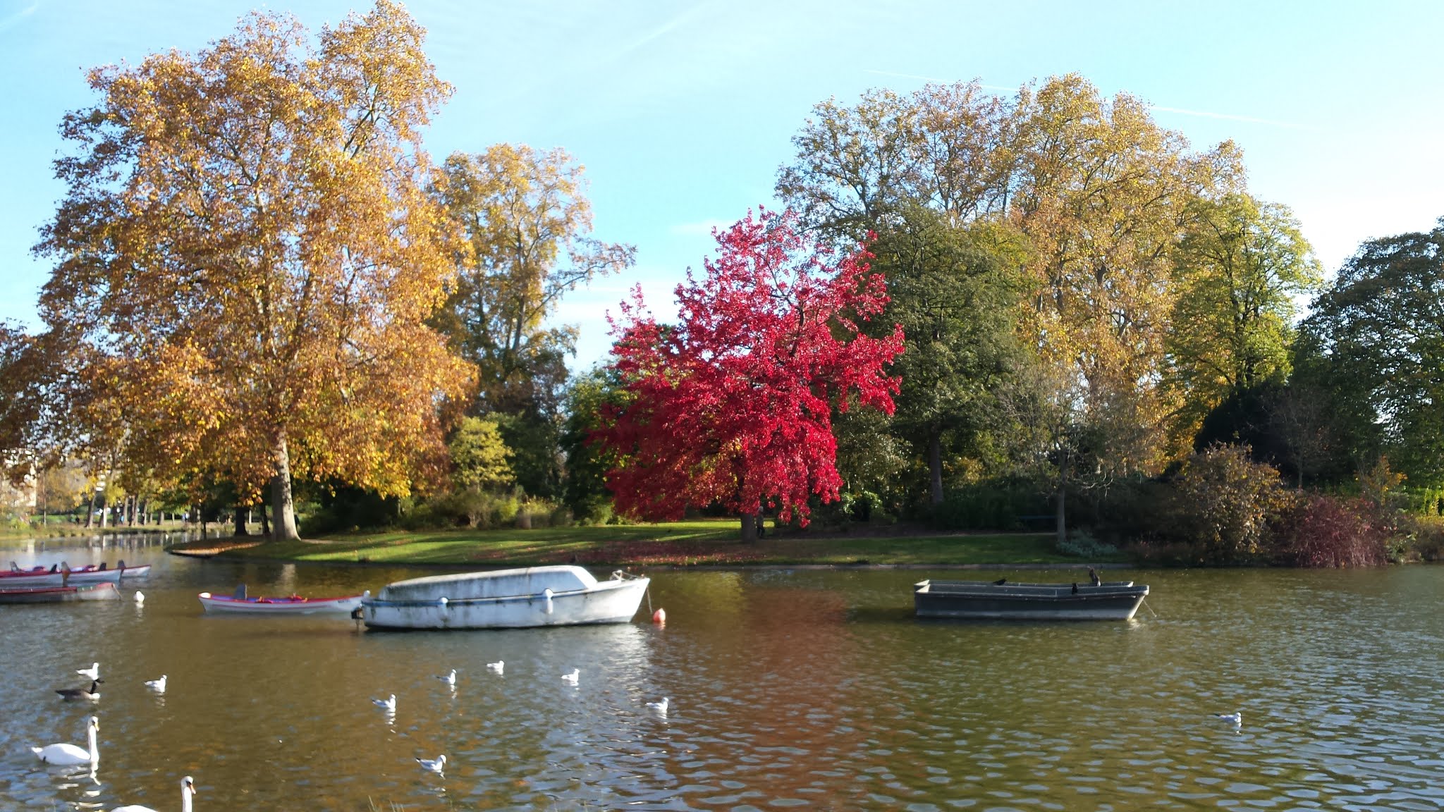 Photo n° 3 de l'avis de Chris.o fait le 22/09/2018 à 15:13