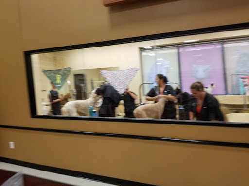 Pet Supply Store «PetSmart», reviews and photos, 1034 N El Camino Real, Encinitas, CA 92024, USA