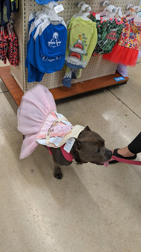 Pet Supply Store «PetSmart», reviews and photos, 291 Skokie Blvd, Northbrook, IL 60062, USA