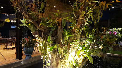 Top 20 quán cafe sân vườn Thành phố Đông Hà Quảng Trị 2022