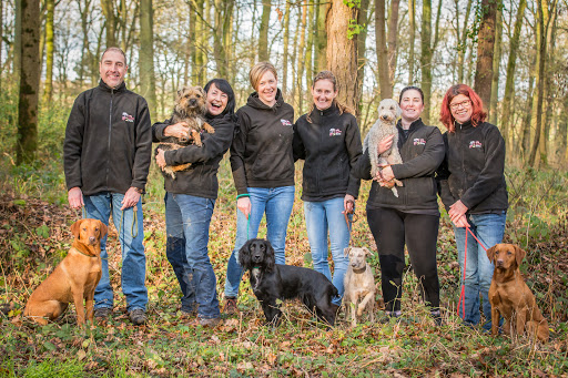 We Love Pets Derby - Dog Walker, Pet Sitter & Home Boarder