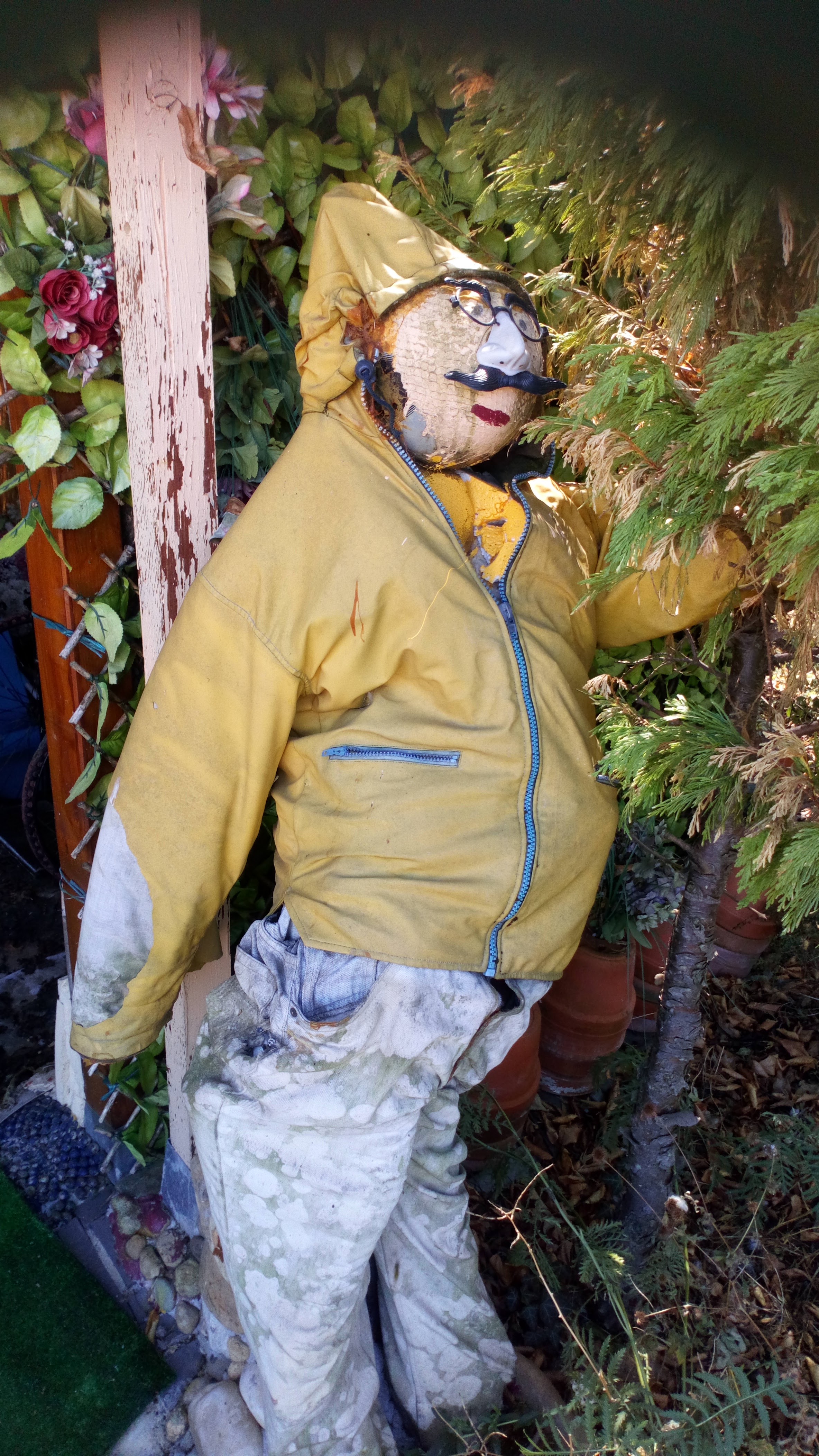 Photo n° 1 de l'avis de Cécile.. fait le 04/08/2022 à 12:28