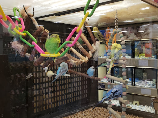 Pet Supply Store «PetSmart», reviews and photos, 159 N Weber Rd, Bolingbrook, IL 60490, USA