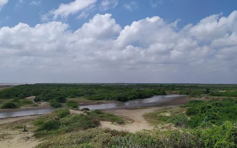 Point Calimere Wildlife Sanctuary (Kodiakarai) image