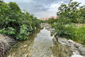 Vadi Başakşehir image