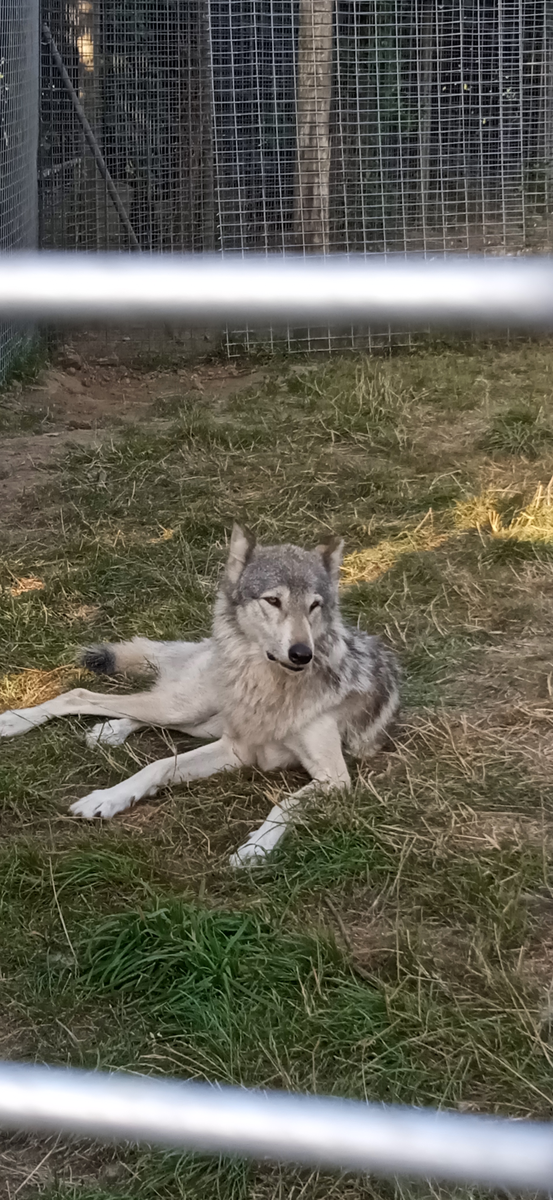 Photo n° 5 de l'avis de Angy.p fait le 17/07/2022 à 16:45
