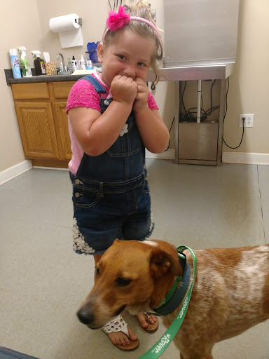 Lowery Animal Hospital image