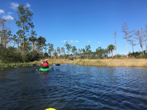 Nature Preserve «Cypress Creek Natural Area», reviews and photos, 10035 W Indiantown Rd, Jupiter, FL 33478, USA