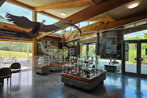 Department of Conservation - Kauaeranga Visitor Centre image