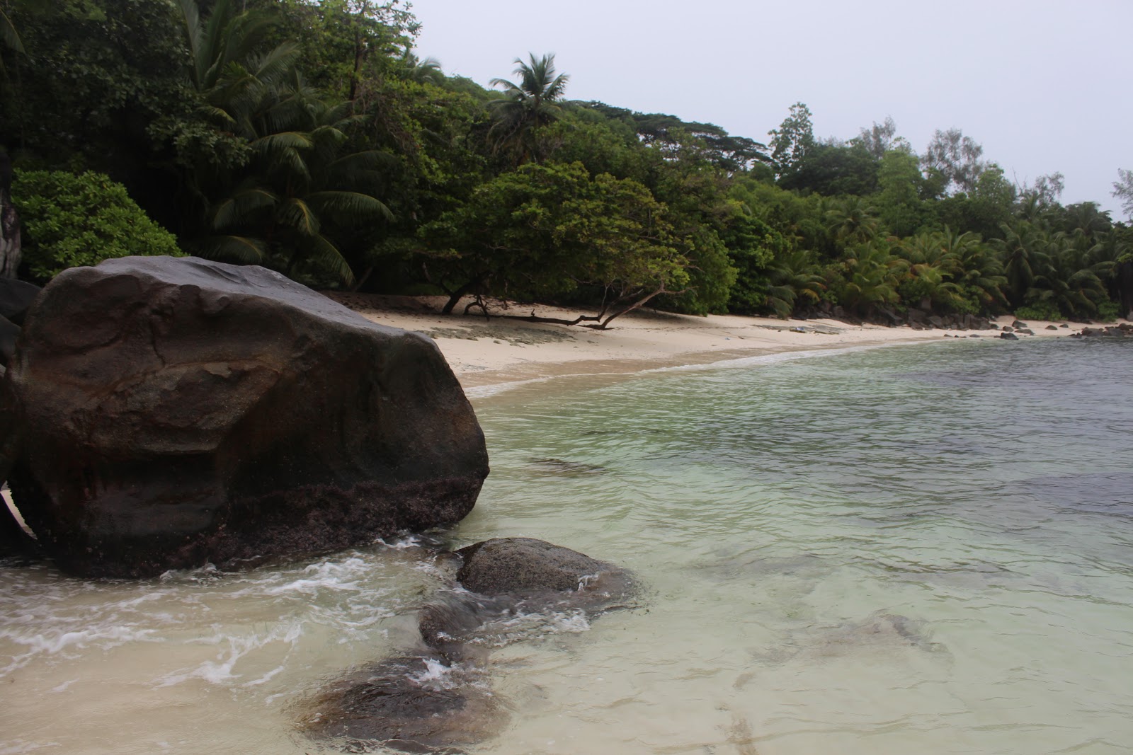 Photo de Anu Paul Beach situé dans une zone naturelle