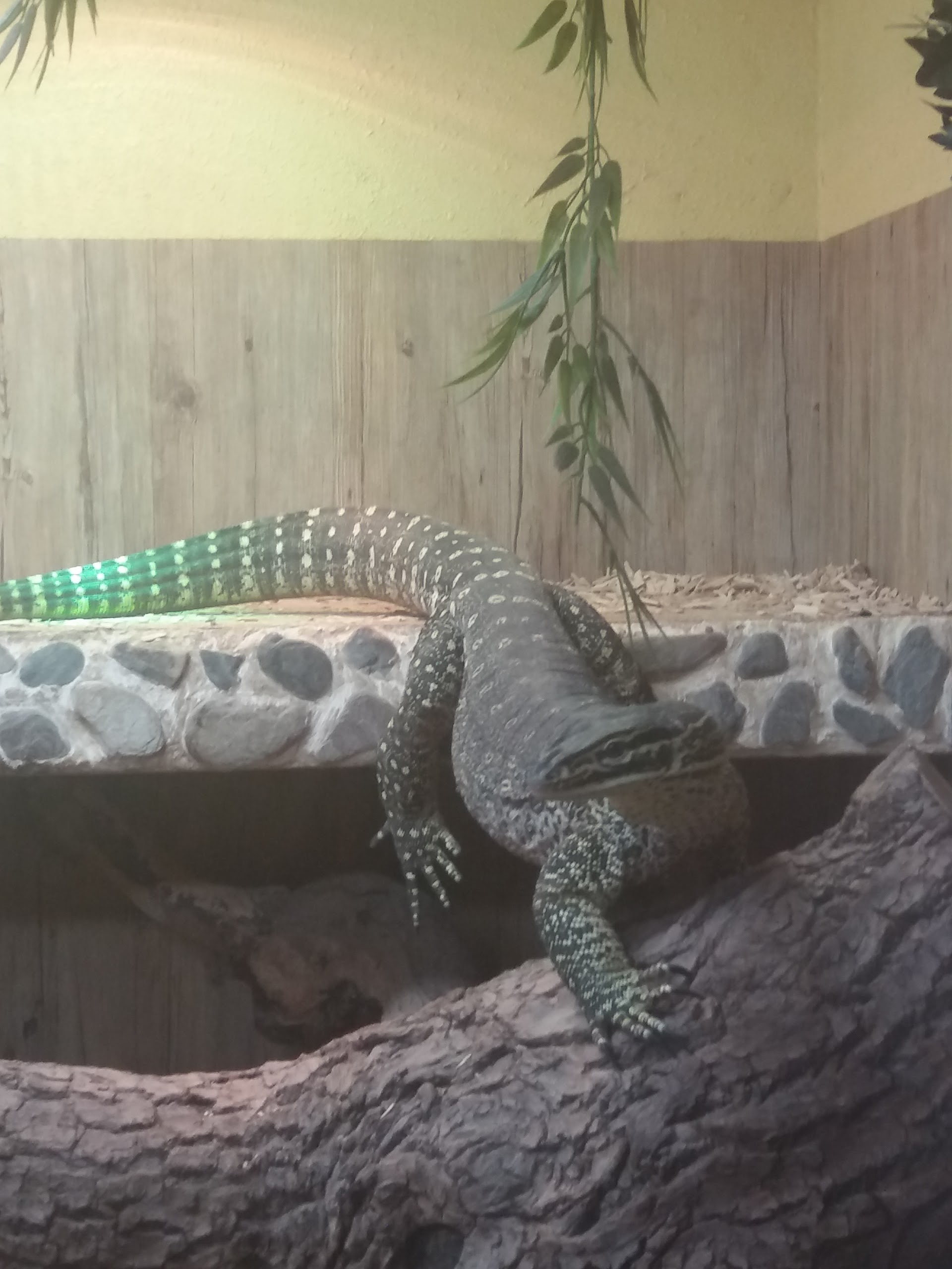 Photo n° 22 de l'avis de Damien.i fait le 21/08/2017 à 19:35