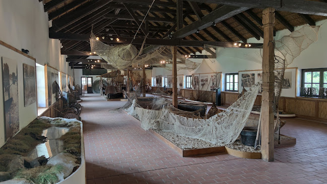 Értékelések erről a helyről: Aranyponty Halászati Múzeum, Sáregres - Múzeum