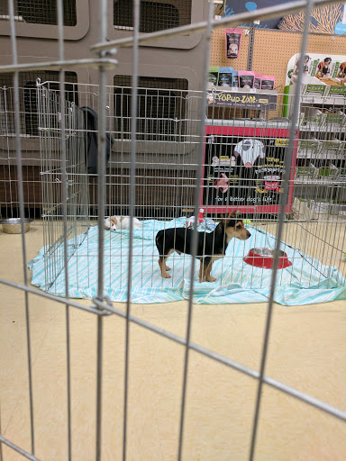 Pet Supply Store «Petco Animal Supplies», reviews and photos, 645 S Green Valley Pkwy, Henderson, NV 89052, USA