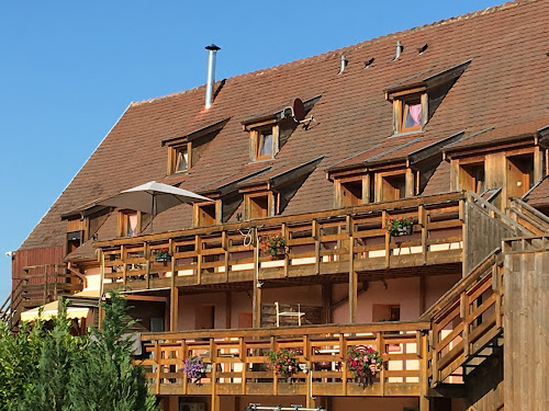 Lodge Domaine Greiner : Gîtes de charme en Alsace dans le Haut-Rhin proche de Colmar, Kaysersberg et Riquewihr | Hébergement en gîte grande capacité au coeur du vignoble Alsacien Mittelwihr