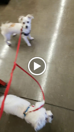 Pet Supply Store «Pet Food Express», reviews and photos, 2158 Contra Costa Blvd, Pleasant Hill, CA 94523, USA