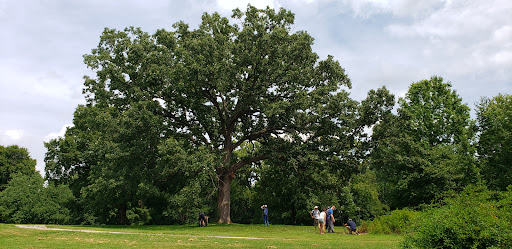 Park «Cherokee Park», reviews and photos, 745 Cochran Hill Rd, Louisville, KY 40206, USA