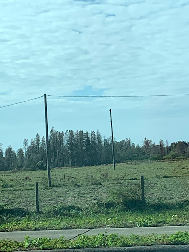 Self-Storage Facility «Trinity Towers Self Storage», reviews and photos, 10409 FL-54, New Port Richey, FL 34655, USA