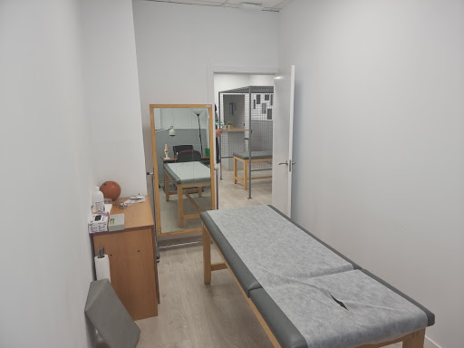 CLÍNICA ALCORCÓN. Accidentes de Tráfico. Centro Médico. Fisioterapia a domicilio en Alcorcón - Fisiocasa en Alcorcón, Madrid