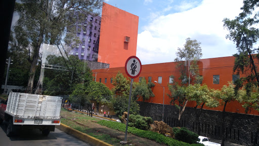 Academias de pintura en Ciudad de Mexico