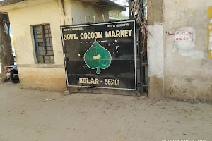 Cocoon Market image