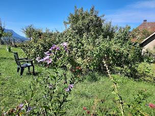 Photo n°11 de Musée de la Nature à Gruffy ()