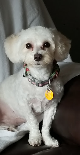 Mary Kay Grooming Station