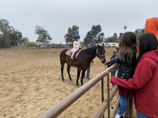 Cavallo Riding Center