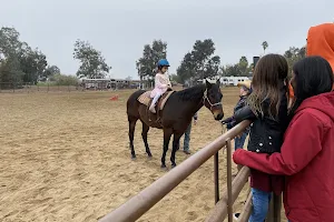 Cavallo Riding Center image
