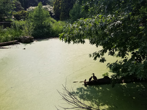 Botanical Garden «Olbrich Botanical Gardens», reviews and photos, 3330 Atwood Ave, Madison, WI 53704, USA