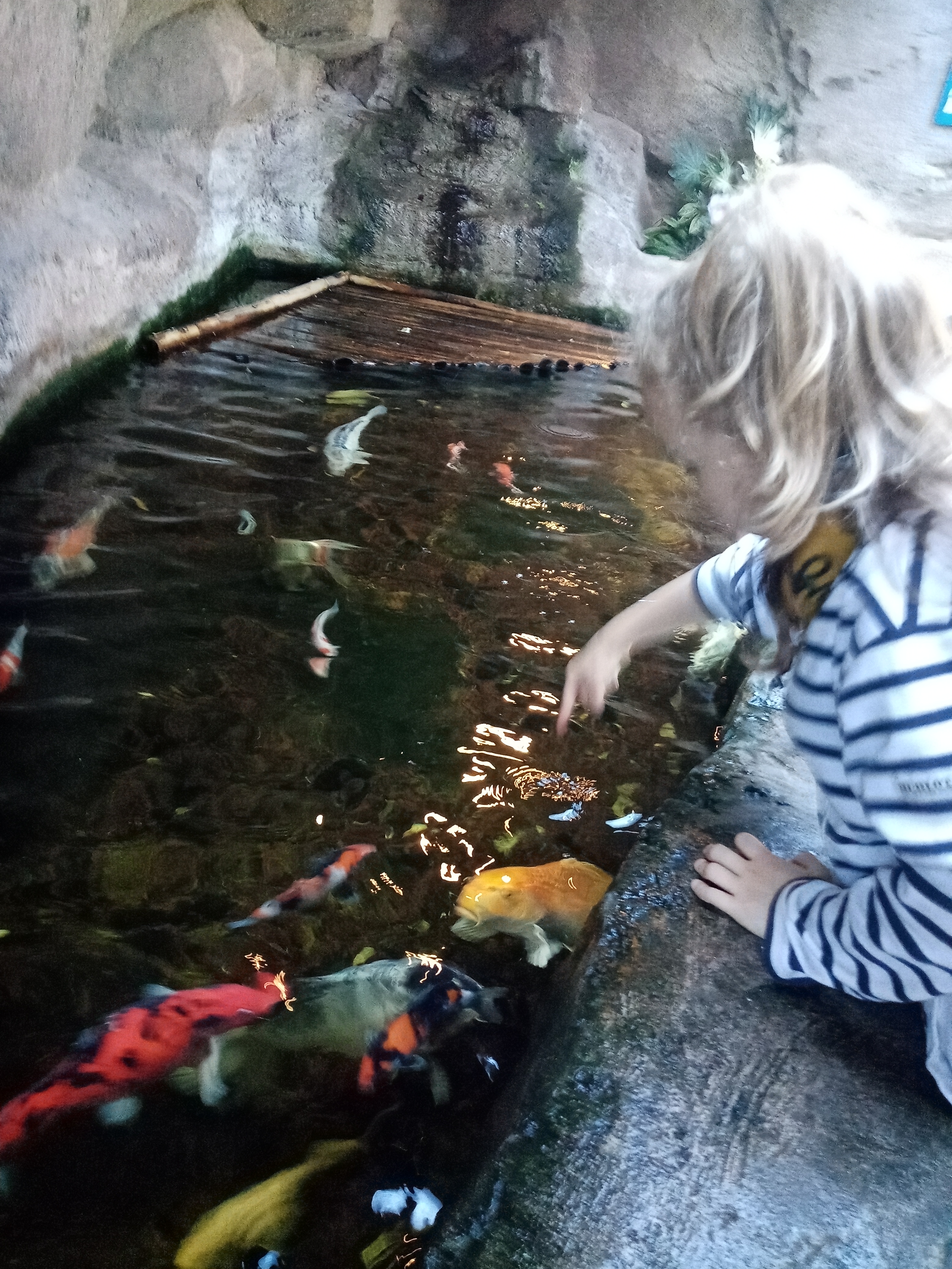 Photo n° 1 de l'avis de celine.a fait le 25/10/2023 à 22:02