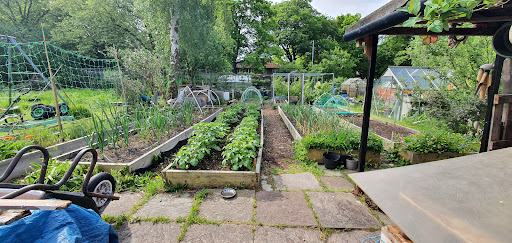 Greenbank Allotments