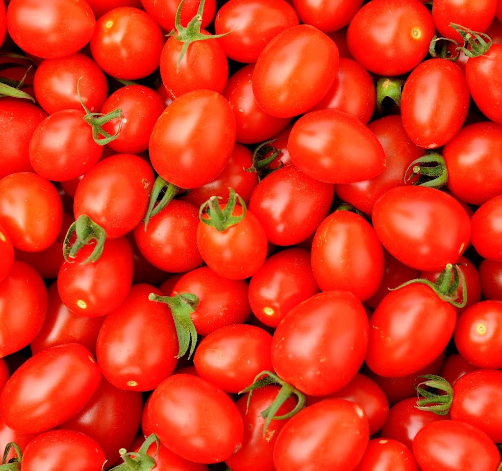 農業生産法人 有限会社 奥松農園