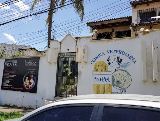 Veterinary Clinic ProPet
