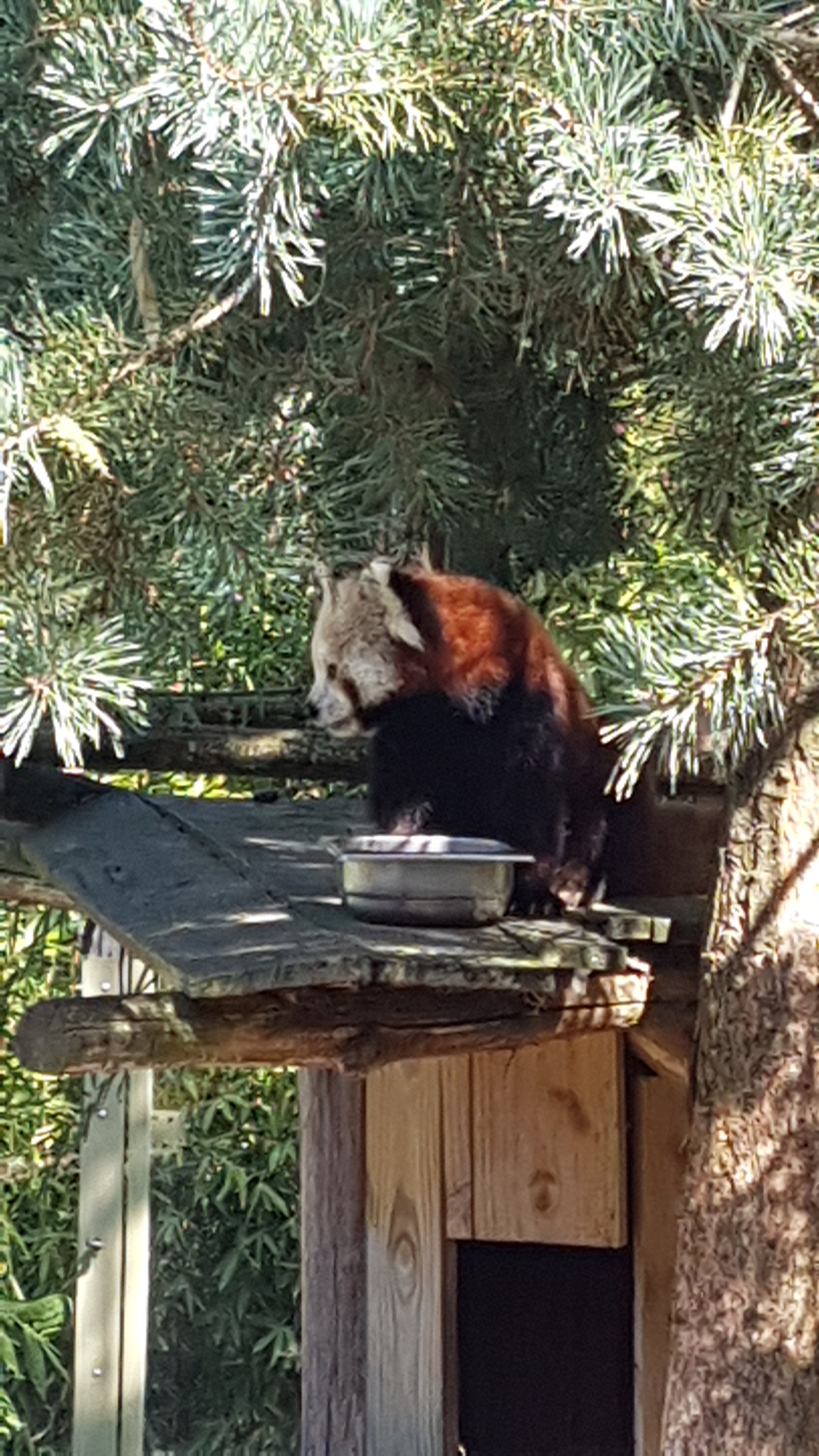 Photo n° 4 de l'avis de Geraldine.e fait le 15/09/2019 à 12:22