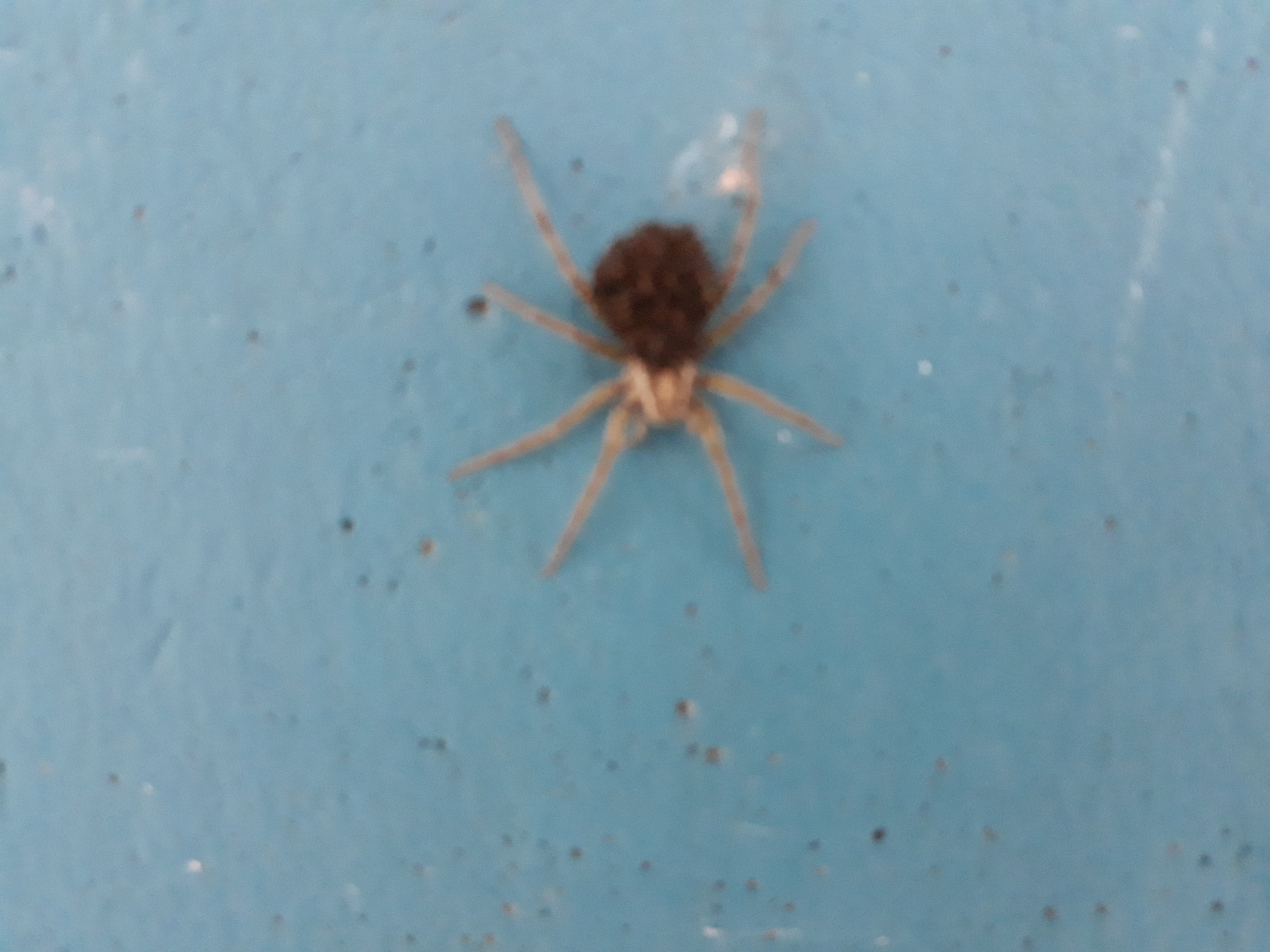 Photo n° 3 de l'avis de PHILIPPE.A fait le 25/10/2018 à 14:11