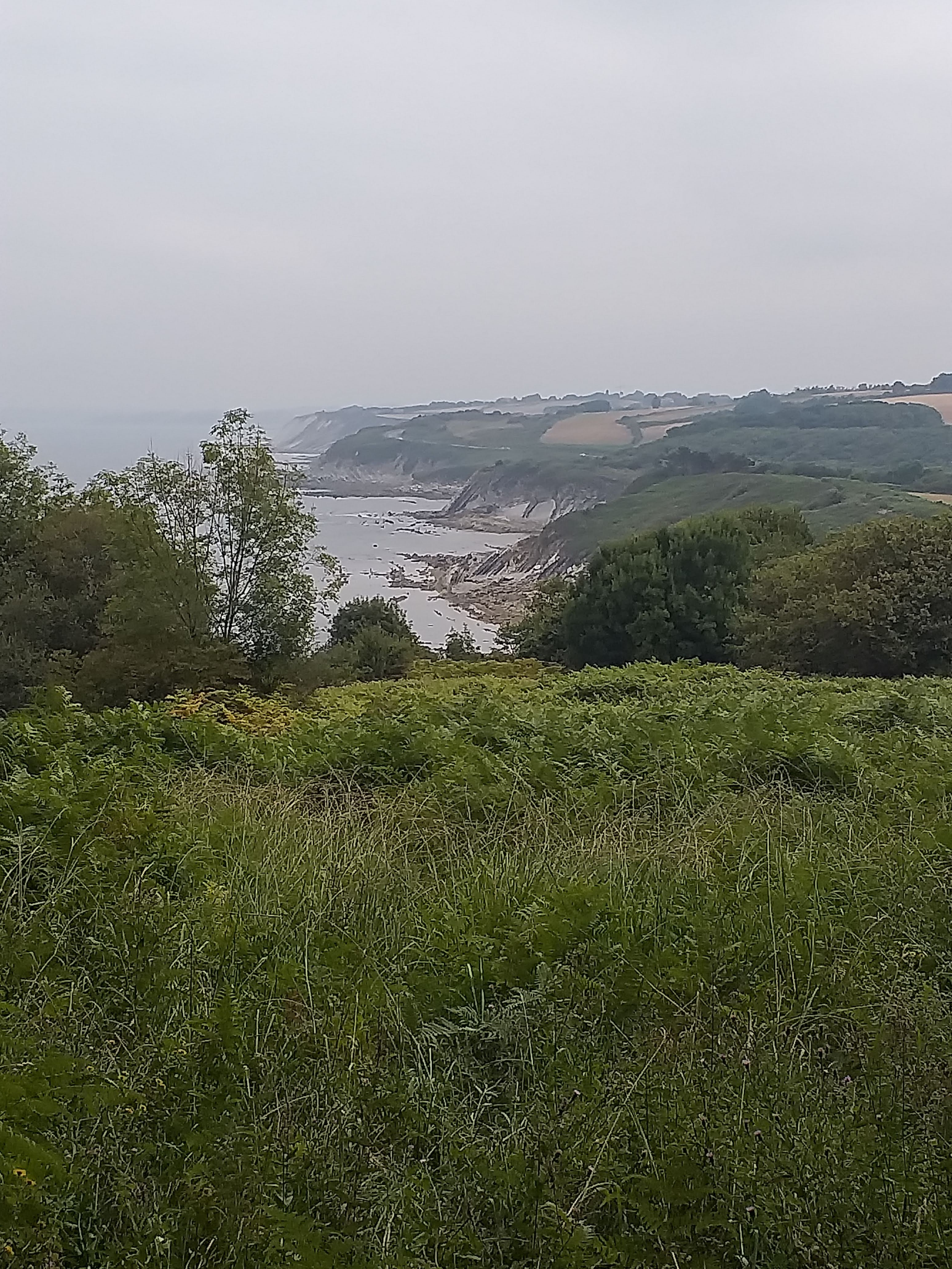 Photo n° 4 de l'avis de Isabel.e fait le 12/08/2022 à 13:40