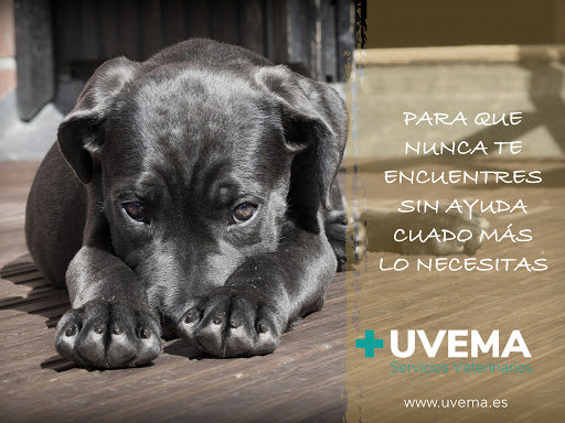 Uvema Servicios Veterinarios en Tres Cantos