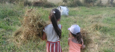 La Ferme d'Adeline et Benjamin à Saint-Sornin-la-Marche