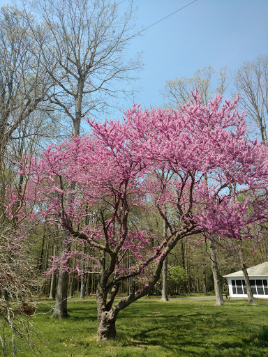 Real Estate Agency «The Moving Experience», reviews and photos, 27 Loockerman St, Dover, DE 19904, USA